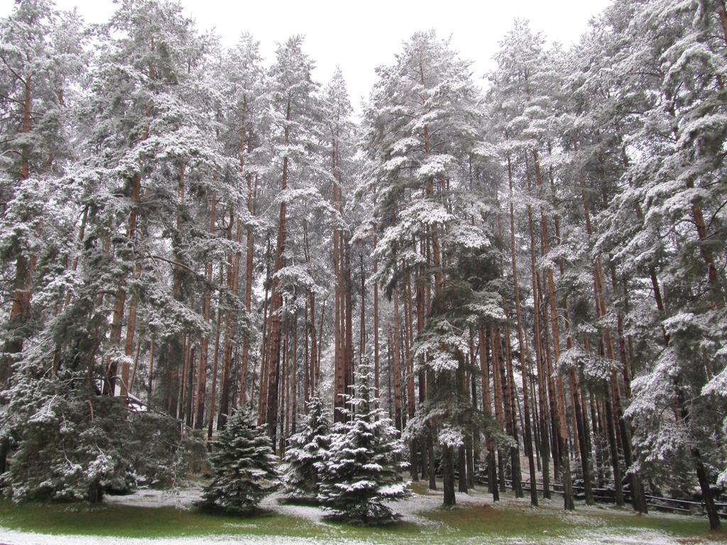 Apartments Markoni Zlatibor Exteriér fotografie